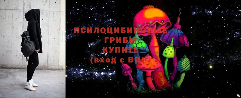 Галлюциногенные грибы Psilocybe  Слободской 